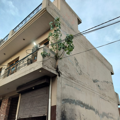 Jaharvir Goga Building Lifting
